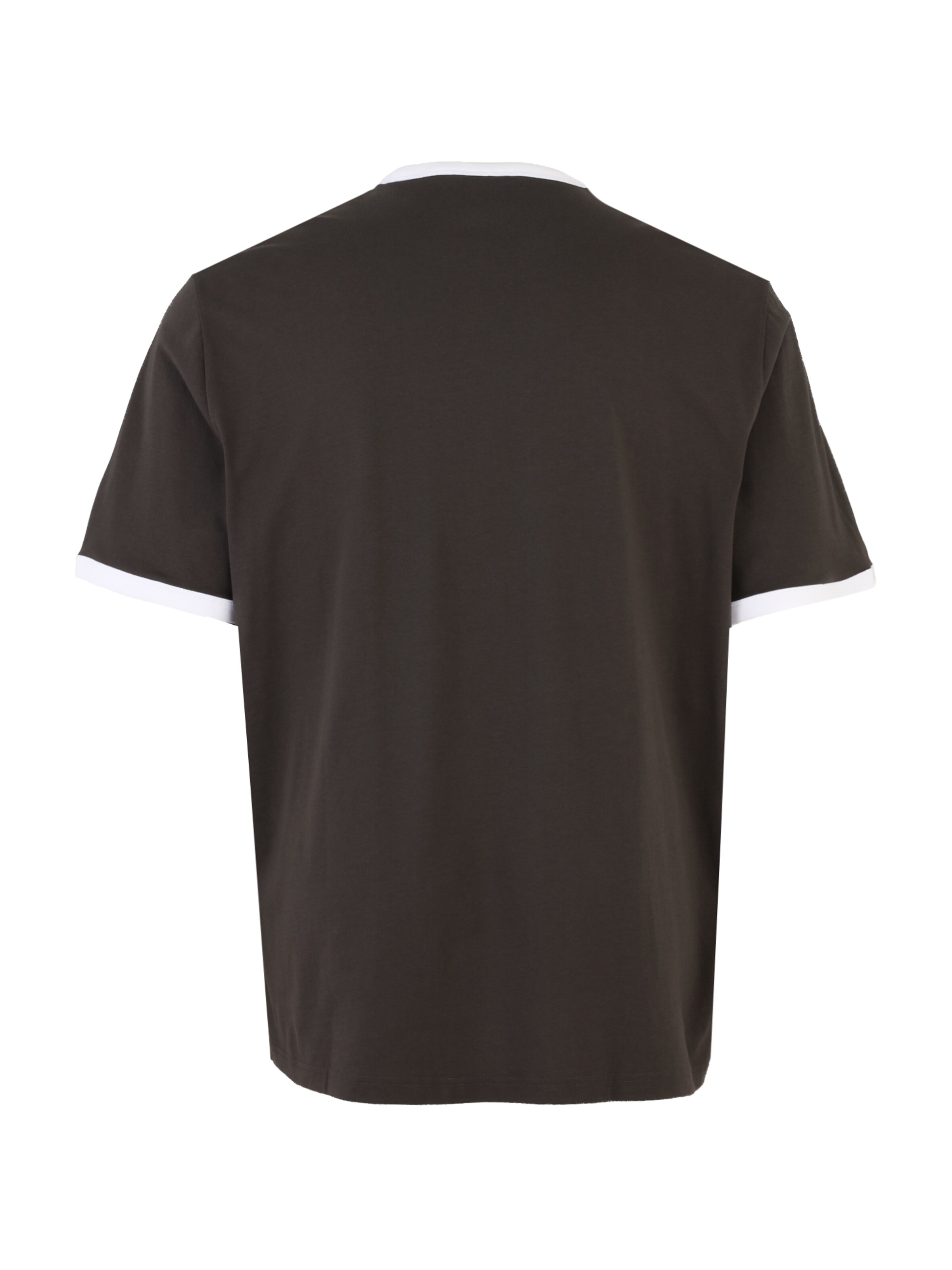 Lyle & Scott Big&Tall Bluser & t-shirts i grå