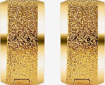 Akzent Earrings 'Glenne, langlebig' in Gold: front