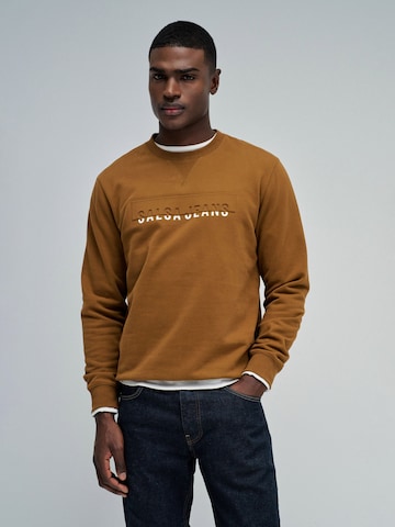 Pull-over Salsa Jeans en marron : devant