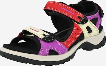 ECCO Wandelsandalen 'Offroad' in Gemengde kleuren: voorkant