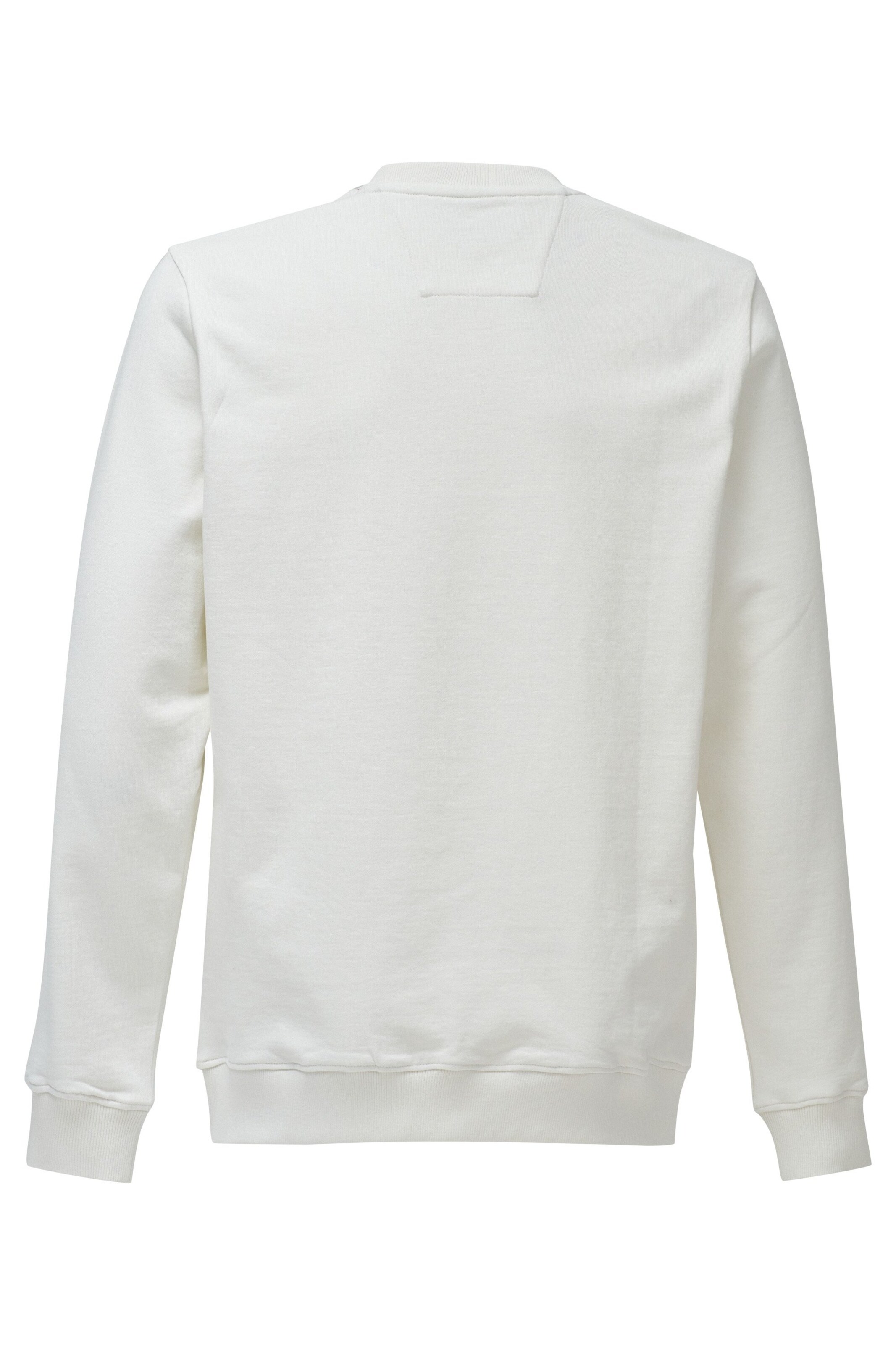 Salsa Jeans Trui in Beige