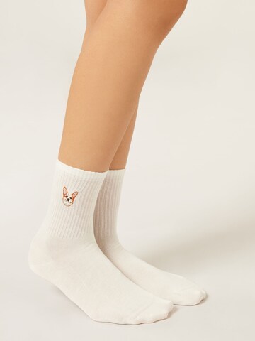 CALZEDONIA Socks 'Dog' in White: front