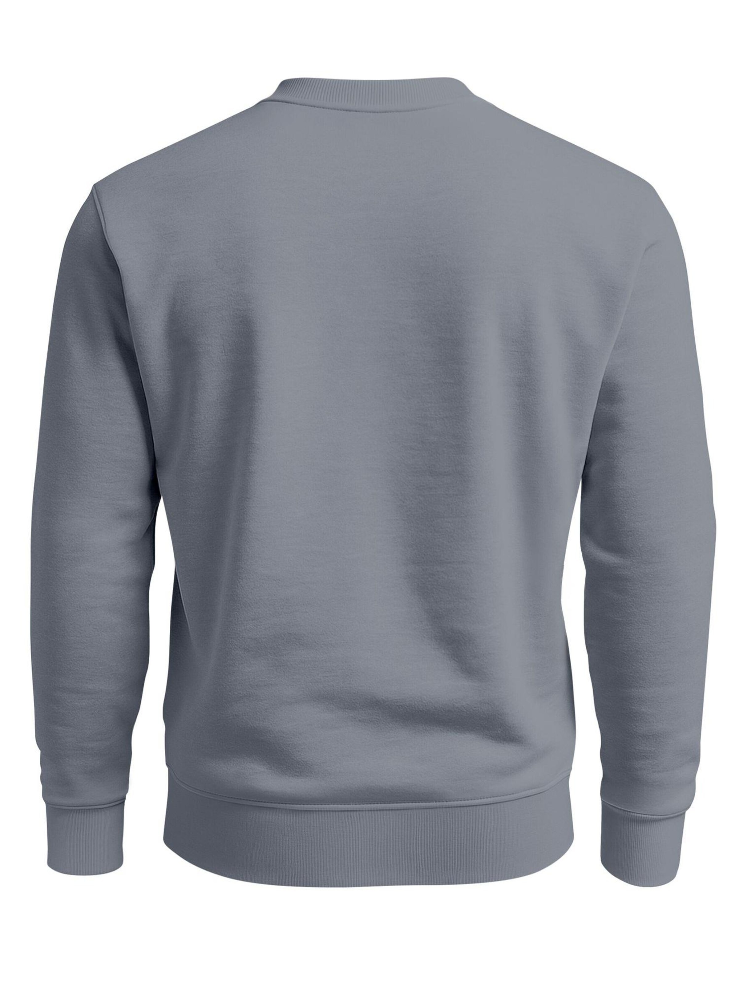 Neverless Sweatshirt 'life begins' in Grey
