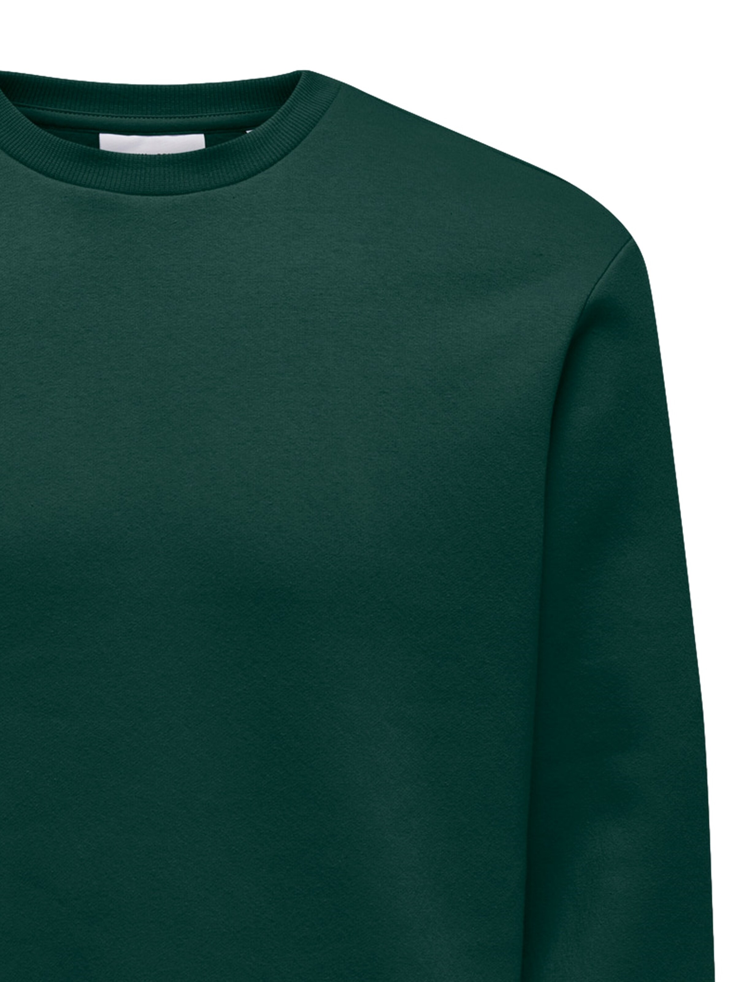 Only & Sons Regular Fit Sweatshirt 'ONSCERES' in Grün