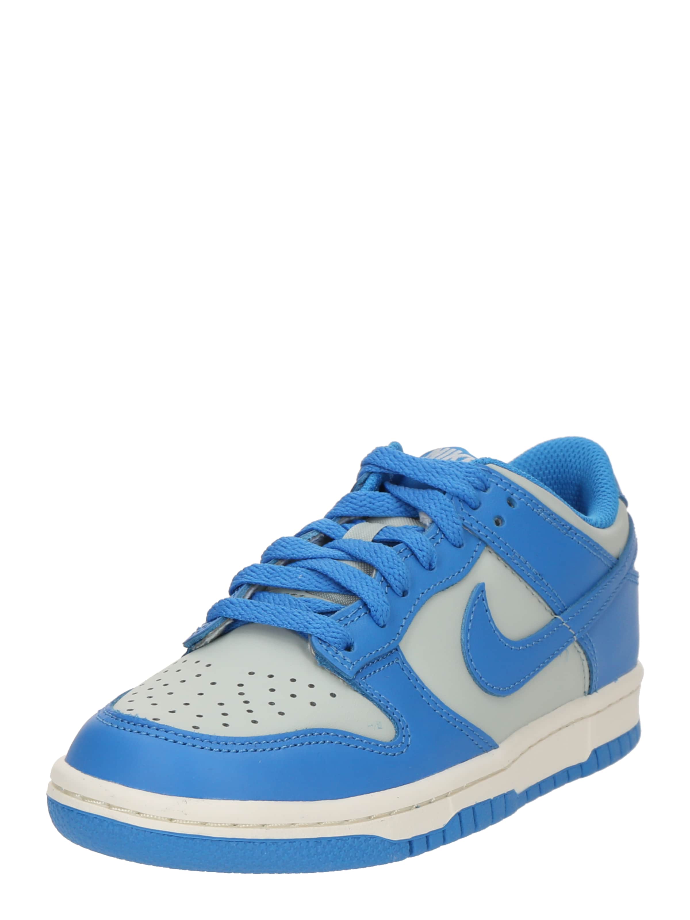 Nike Sportswear Tenisky 'Dunk' – šedá: přední strana