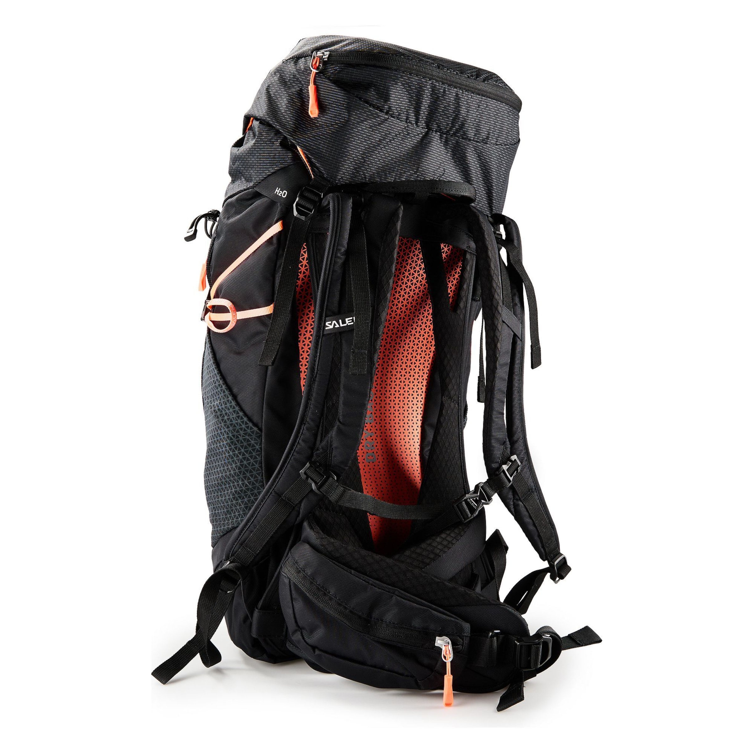 SALEWA Sportrucksack 'Alp Trainer' in Schwarz