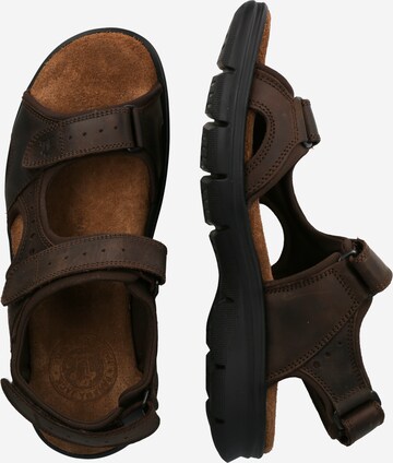 PANAMA JACK Hiking Sandals 'Salton' in Brown