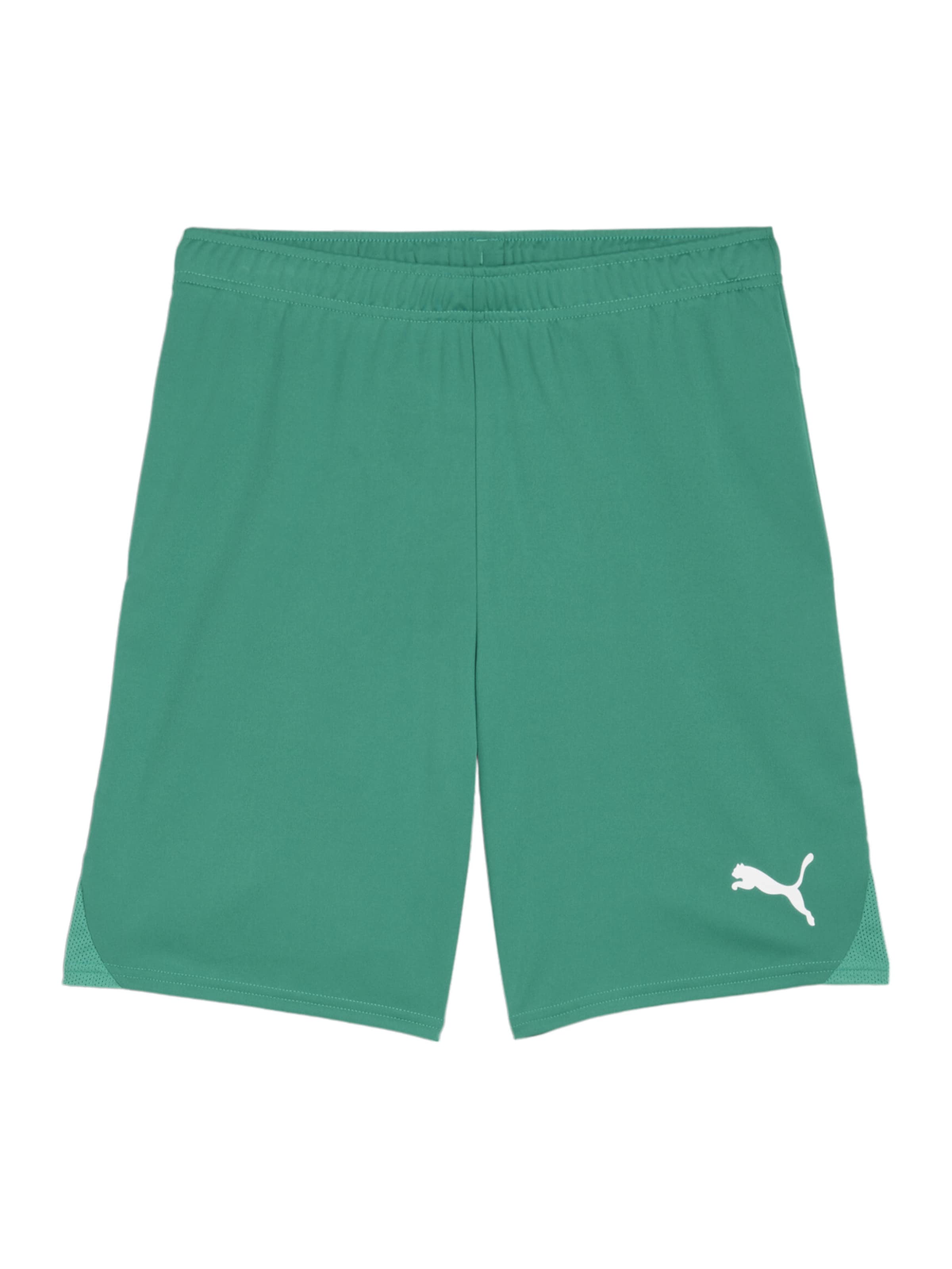 PUMA Sporthose in Grün: Vorderseite