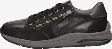 SIOUX Sneaker in Schwarz