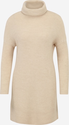 Only Petite Knit dress 'ONLJANA' in Grey: front