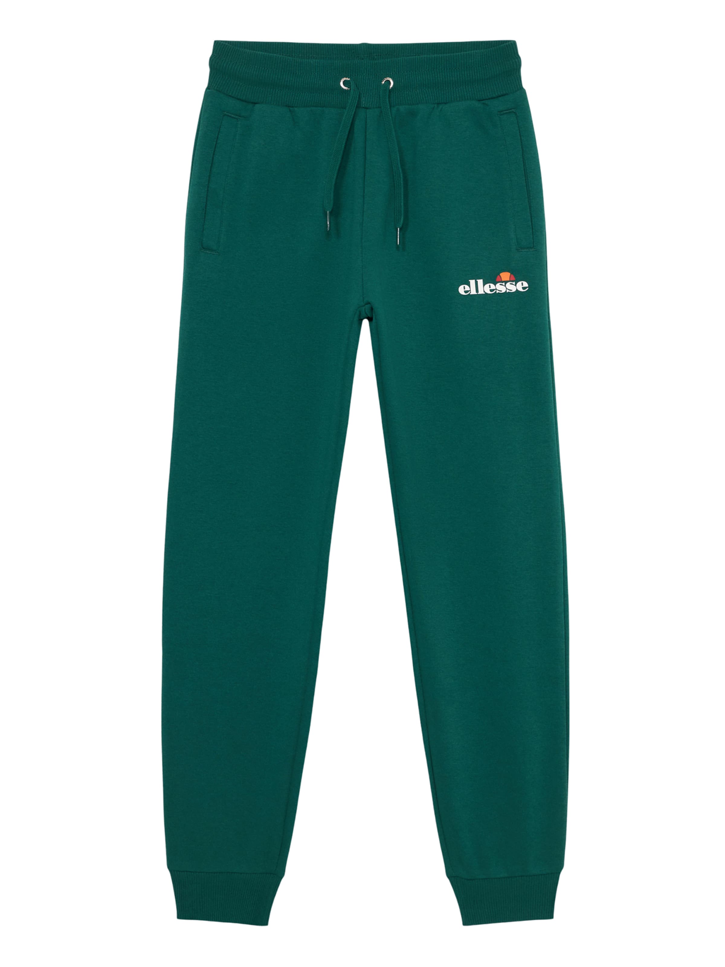 ELLESSE Regular Hose in Grün: Vorderseite