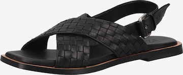 SHABBIES AMSTERDAM Sandals in Black: front