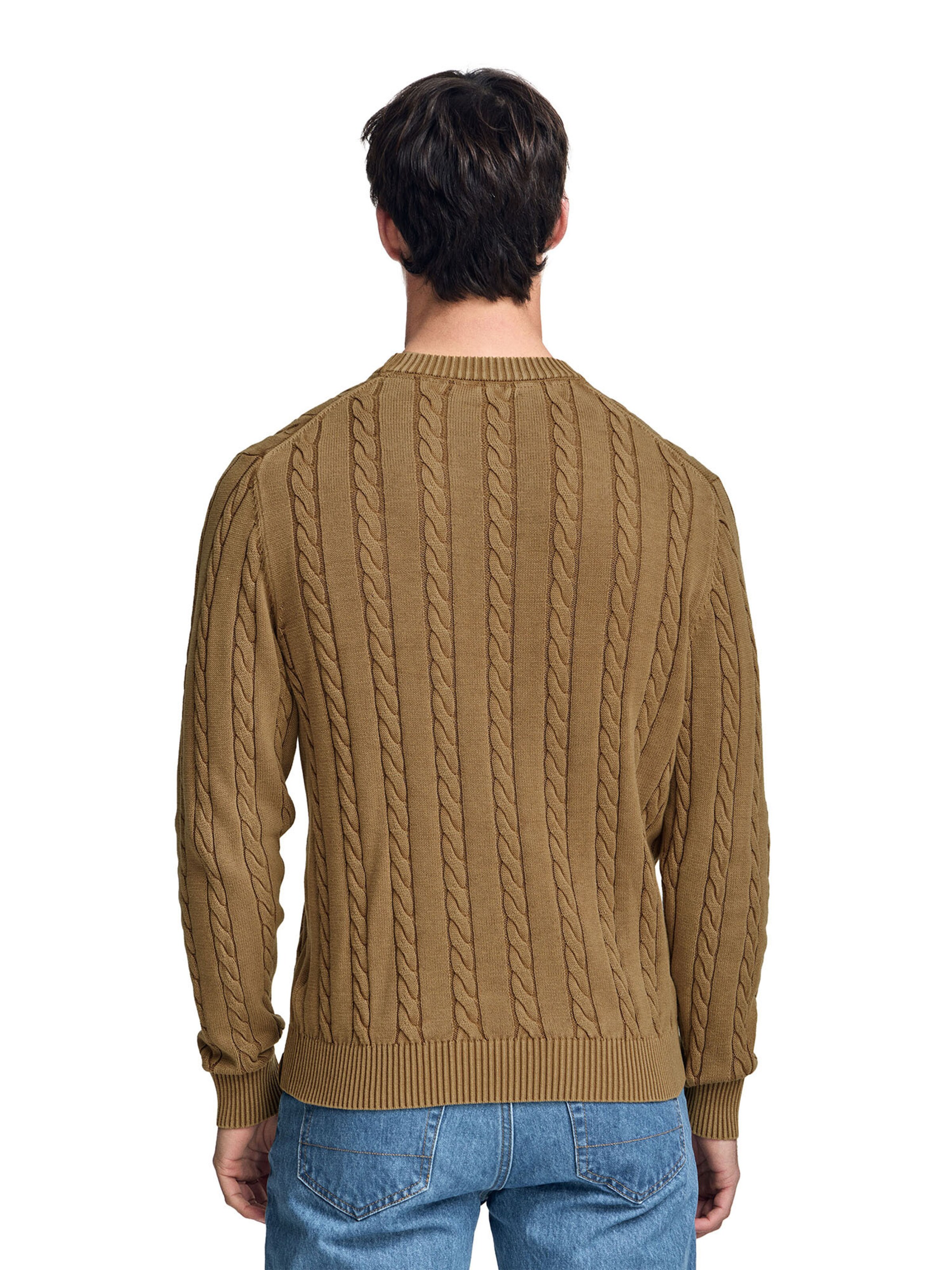 Polo Club Pullover in Braun