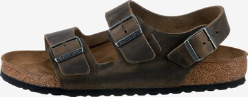 BIRKENSTOCK Sandals 'Milano' in Brown