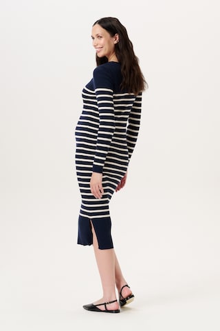 Noppies Dress in Blue