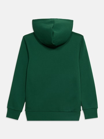 Champion Authentic Athletic Apparel Bluza w kolorze zielony