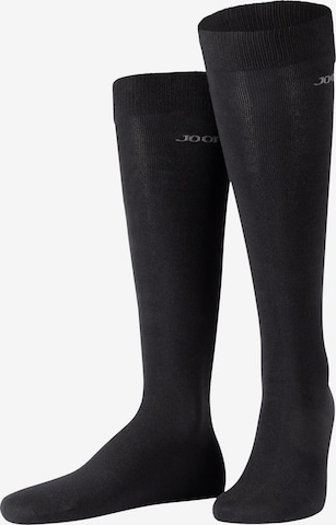 JOOP! Kniestrümpfe in Schwarz: Vorderseite