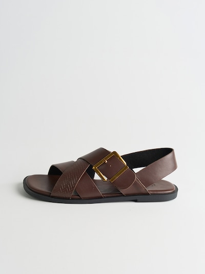 Camomilla Italia Sandale 'Siria' in 37 in dunkelbraun, Produktansicht