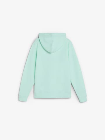 Scalpers Свитшот ' ' в Зеленый