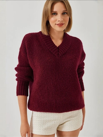 Bianco Lucci Kampsun 'Pullover', värv punane