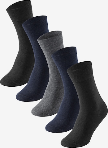 SCHIESSER Socken in Mischfarben: predná strana