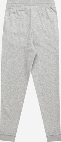 Tapered Pantaloni di ADIDAS ORIGINALS in grigio