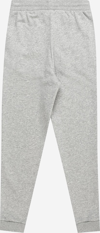 ADIDAS ORIGINALS - Tapered Pantalón en gris