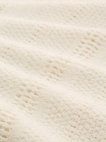 TOM TAILOR DENIM Trui in Bruin