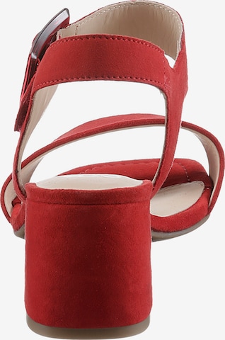 ARA Strap Sandals in Red