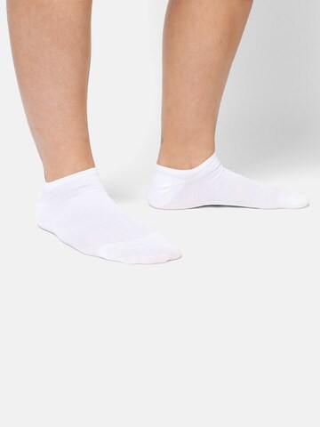 Chaussure basse DillySocks en blanc : devant