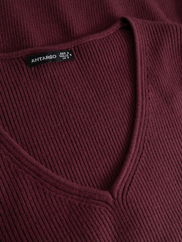 Antargo Shirt 'Ilona' in Purple