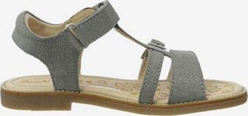 LURCHI Sandals in Grey