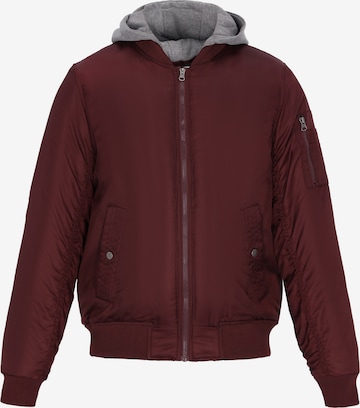 MO Winterjas in Gemengde kleuren: voorkant