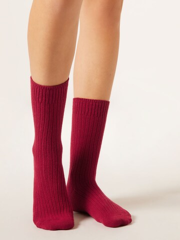 CALZEDONIA Socks in Red