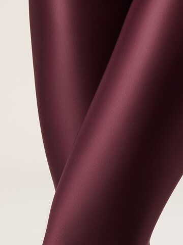 CALZEDONIA Tights in Red