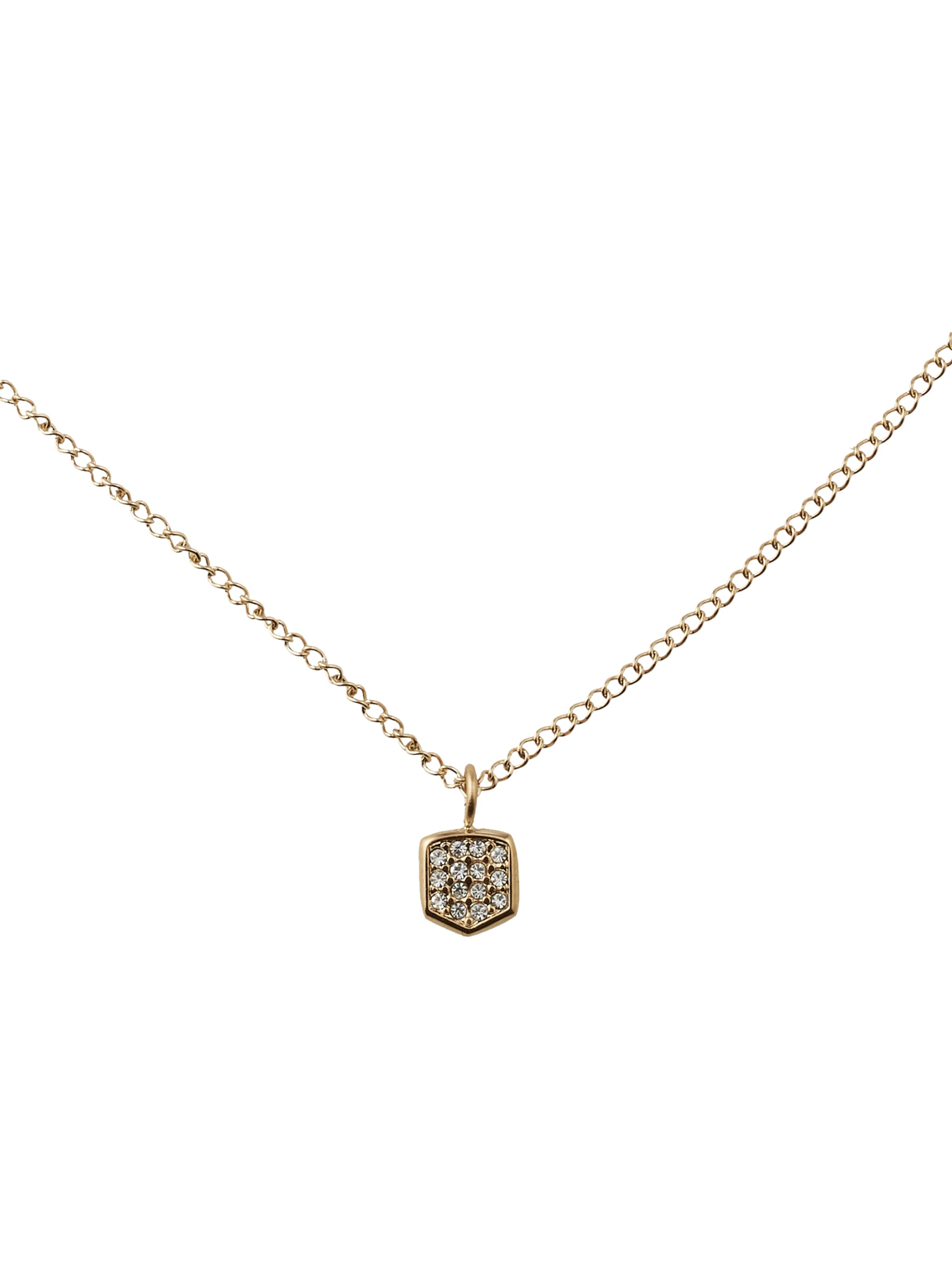 FOSSIL Necklace in Gold