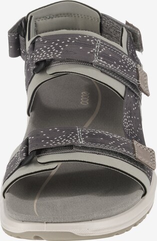 Sandales de randonnée 'X-Trinsic' ECCO en gris