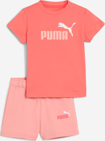 PUMA Комплект 'Minicats Essentials' в Оранжевый: спереди