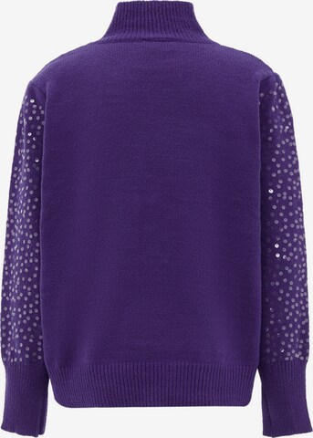 Pull-over nascita en violet