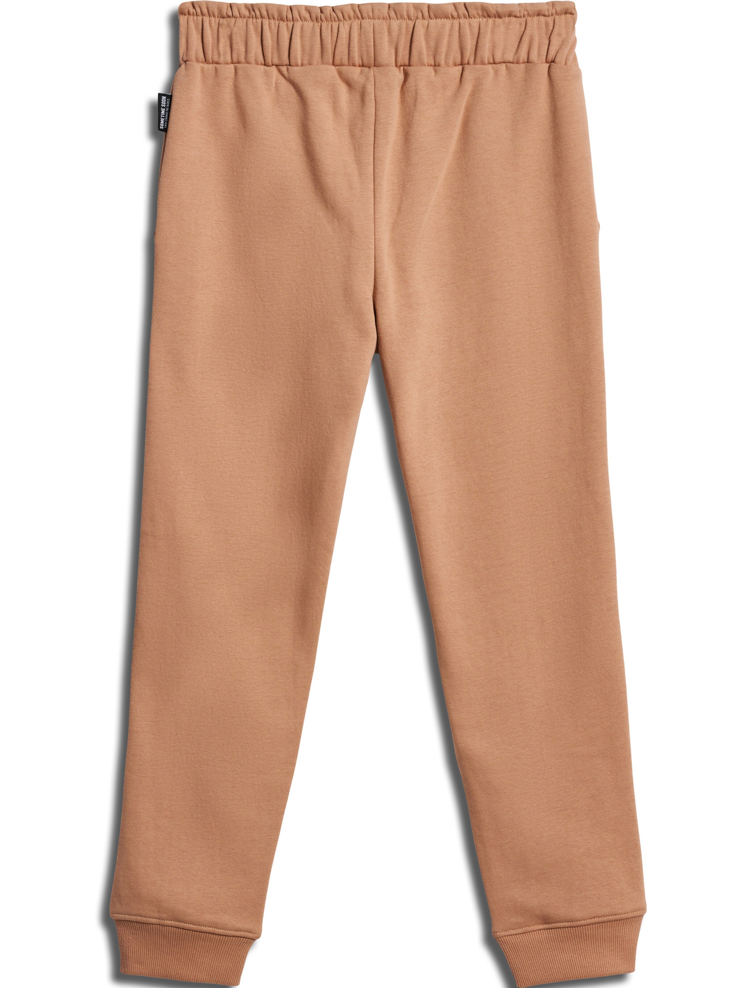 SOMETIME SOON Regular Broek in Bruin