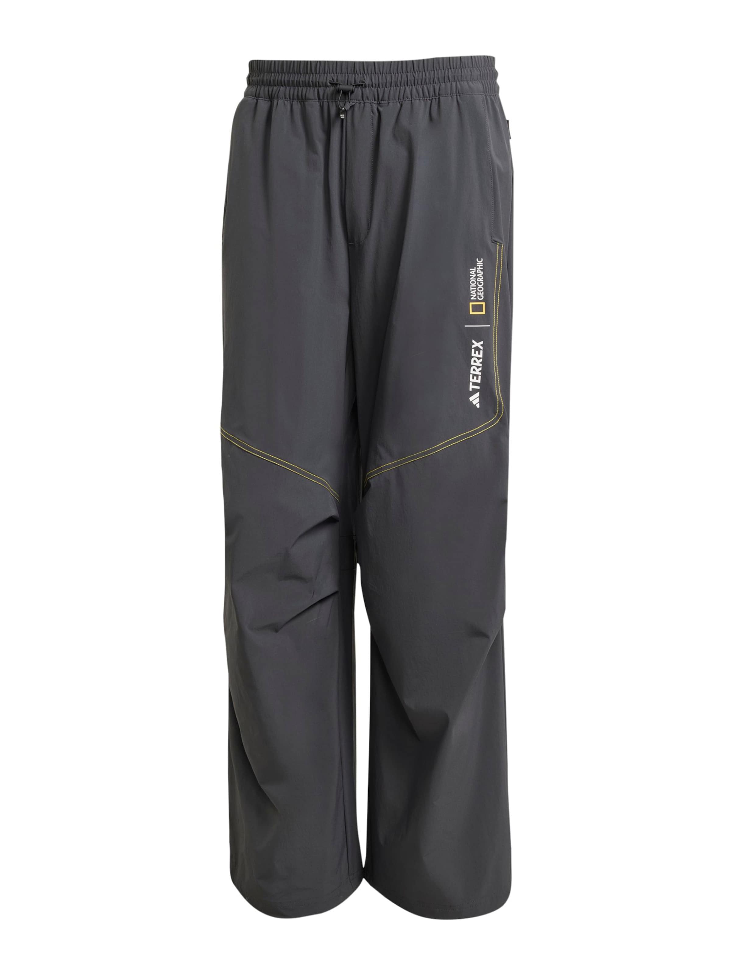 ADIDAS TERREX Loosefit Παντελόνι πεζοπορίας 'National Geographic' σε γκρι: μπροστά