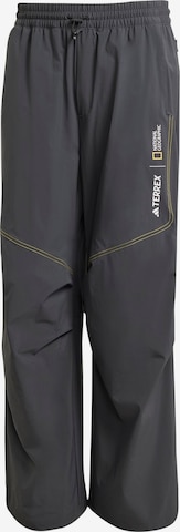 pilka ADIDAS TERREX Laisvas Laisvalaikio kelnės 'National Geographic': priekis