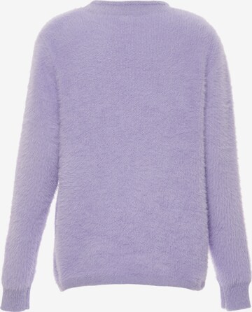 Poomi Sweater in Purple