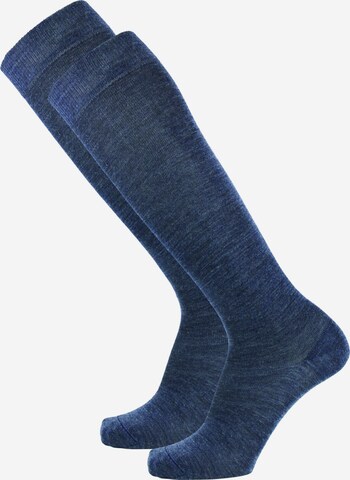 ROGO Knee High Socks in Blue