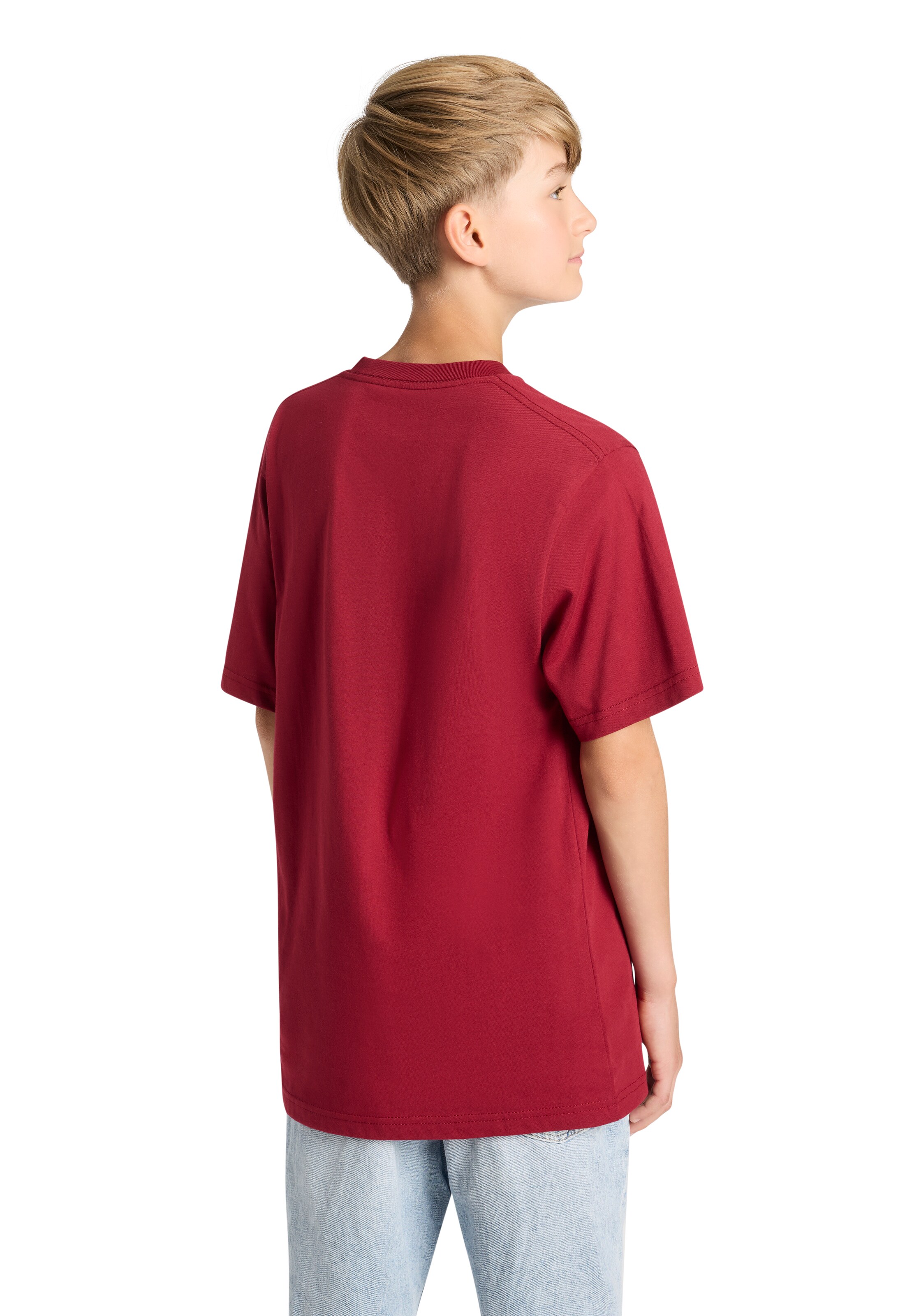 raudona VANS Standartinis modelis Marškinėliai 'Classic'