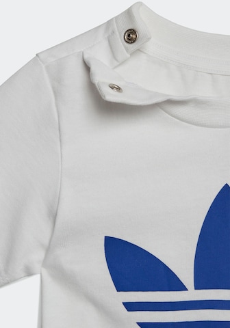 ADIDAS ORIGINALS T-Shirt 'Trefoil' in Blau