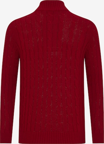 DENIM CULTURE Sweater 'Orion' in Red