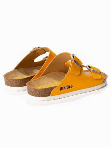 Bayton Muiltjes 'Atlas' in Geel