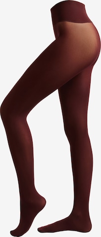 CALZEDONIA Strumpfhose in Rot: Vorderseite