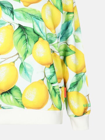 Sweat-shirt 'Barch' salzhaut en mélange de couleurs